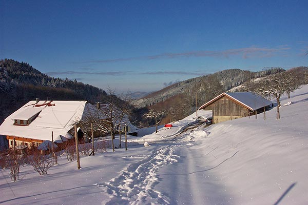 Herrlicher Ausblick im Winter